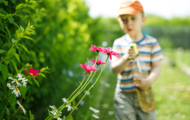 Garden-industry