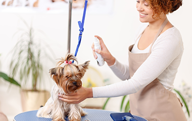 Pet-industry